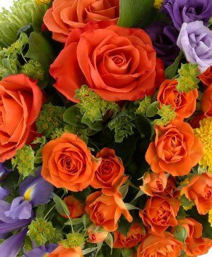 Imaginea produsului Scântei De Frumuseţe