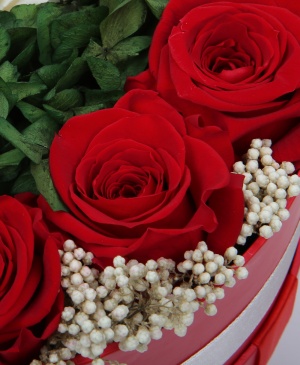 Imaginea produsului Cutie Cu Trandafiri Criogenați în Două Culori