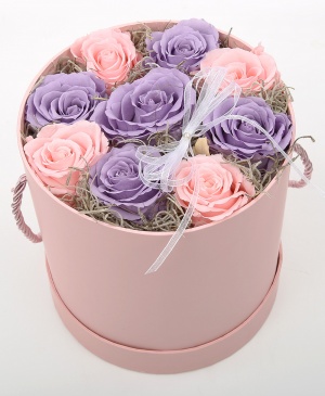 Imaginea produsului Cutie Cu 9 Criogenați Pastel Imaginea produsului Cutie Cu 9 Criogenați Pastel