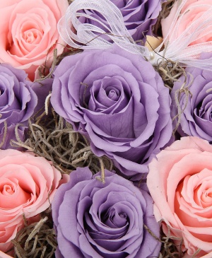 Imaginea produsului Cutie Cu 9 Criogenați Pastel