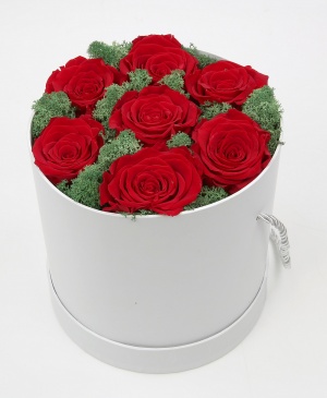 Imaginea produsului 7 Trandafiri Naturali Criogenați Imaginea produsului 7 Trandafiri Naturali Criogenați