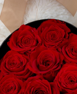 Imaginea produsului Valentine Exclusive Duo