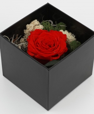 Imaginea produsului Trio Valentine Day