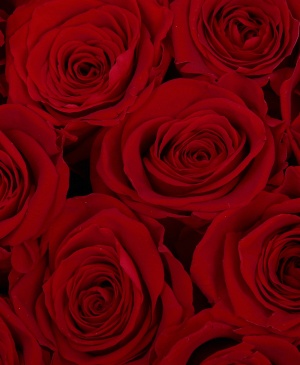 Imaginea produsului Premium Valentine Mix