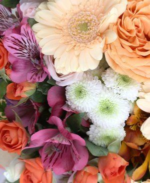 Imaginea produsului Curcubeu De Emoţii