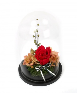 Imaginea produsului Iubire Perpetuă Imaginea produsului Iubire Perpetuă