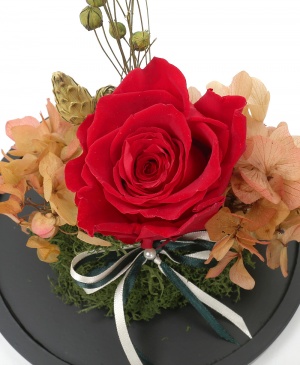 Imaginea produsului Iubire Perpetuă