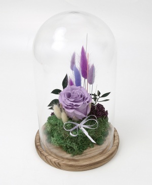Imaginea produsului Trandafir Violet în Cupolă Imaginea produsului Trandafir Violet în Cupolă