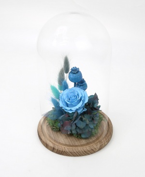 Imaginea produsului Trandafir Bleu Azur în Cupolă Imaginea produsului Trandafir Bleu Azur în Cupolă