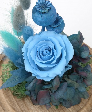 Imaginea produsului Trandafir Bleu Azur în Cupolă