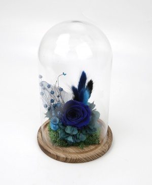 Imaginea produsului Trandafir Albastru în Cupolă Imaginea produsului Trandafir Albastru în Cupolă