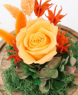 Imaginea produsului Trandafir Portocaliu Deschis în Cupolă