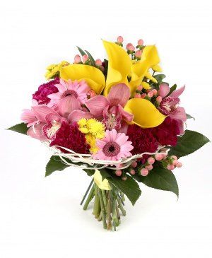 Imaginea produsului Culori Mistuitoare Imaginea produsului Culori Mistuitoare