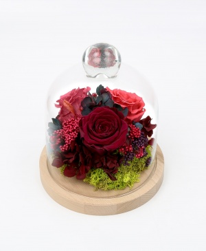 Imaginea produsului Cupola Rozelor Imaginea produsului Cupola Rozelor