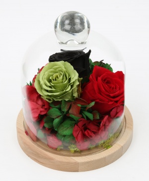 Imaginea produsului Cupola Contrastelor Imaginea produsului Cupola Contrastelor