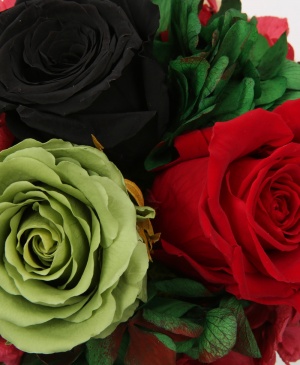 Imaginea produsului Cupola Contrastelor