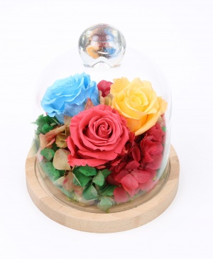 Imaginea produsului Cupola Pastelurilor Imaginea produsului Cupola Pastelurilor