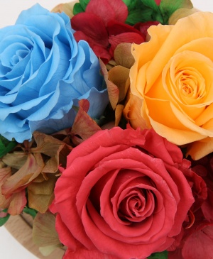 Imaginea produsului Cupola Pastelurilor