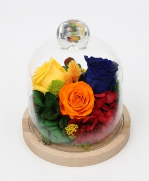 Imaginea produsului Cupola Culorilor Imaginea produsului Cupola Culorilor