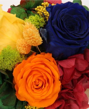 Imaginea produsului Cupola Culorilor