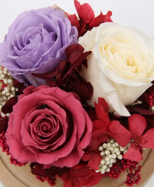 Imaginea produsului Cupola Fermecată