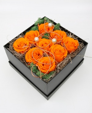 Imaginea produsului Entuziasm și Recunoștință Imaginea produsului Entuziasm și Recunoștință