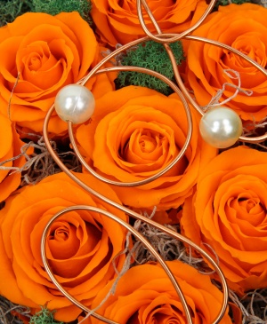 Imaginea produsului Entuziasm și Recunoștință