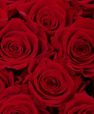 Imaginea produsului Cutia Sentimentelor