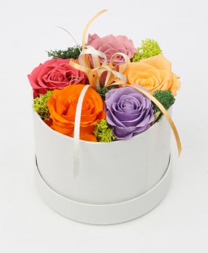 Imaginea produsului Paleta Pictorului Imaginea produsului Paleta Pictorului