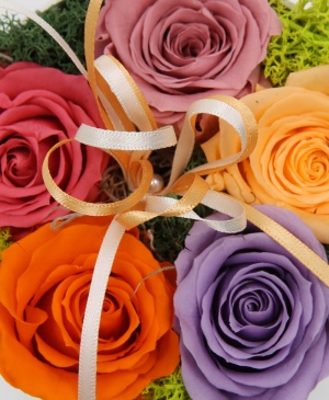 Imaginea produsului Paleta Pictorului