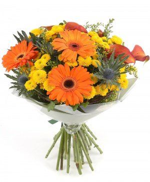 Imaginea produsului Vise Colorate Imaginea produsului Vise Colorate