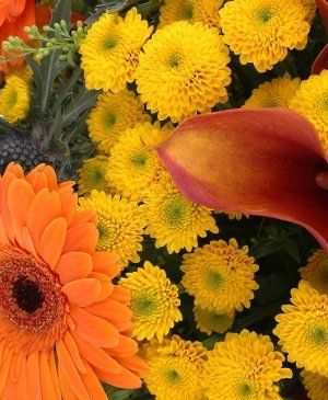 Imaginea produsului Vise Colorate