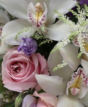 Imaginea produsului Atingere De Catifea