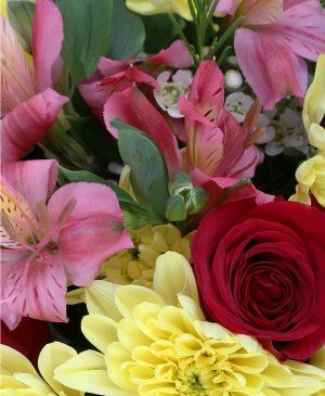 Imaginea produsului Iubire și Fericire