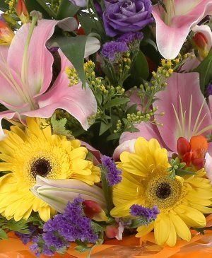 Imaginea produsului Glas De Ciocârlie