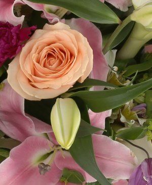 Imaginea produsului Dulce Contemplare