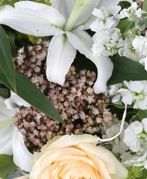 Imaginea produsului Pastel Original