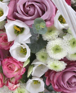 Imaginea produsului Câmp Cu Flori