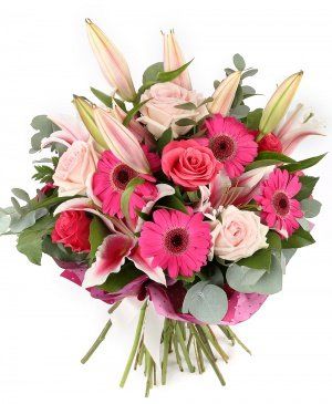 Imaginea produsului Euforie Nemărginită Imaginea produsului Euforie Nemărginită