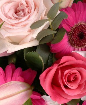 Imaginea produsului Euforie Nemărginită