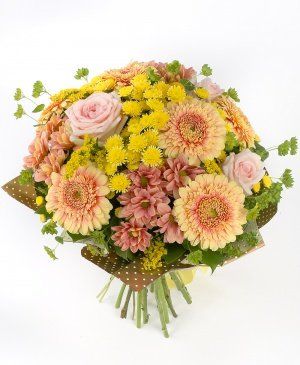 Imaginea produsului Ispită Fermecată Imaginea produsului Ispită Fermecată