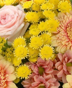 Imaginea produsului Ispită Fermecată