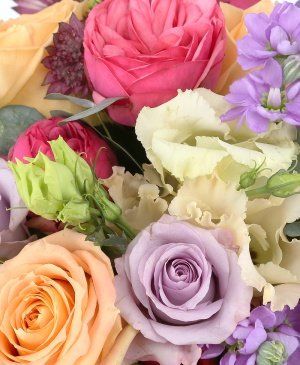 Imaginea produsului Culorile Fericirii