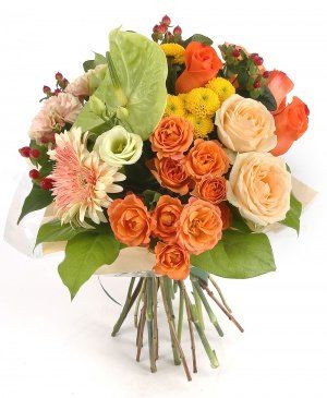 Imaginea produsului Vis Cald Imaginea produsului Vis Cald