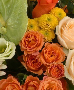 Imaginea produsului Vis Cald