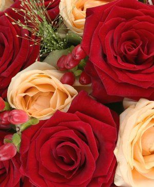 Imaginea produsului Contrast De Sărbătoare