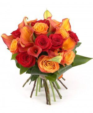 Imaginea produsului Sclipire Eleganță Imaginea produsului Sclipire Eleganță