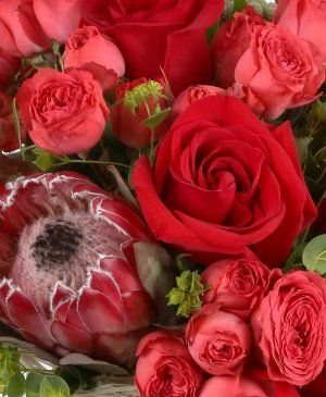 Imaginea produsului Bucurie în Pastel