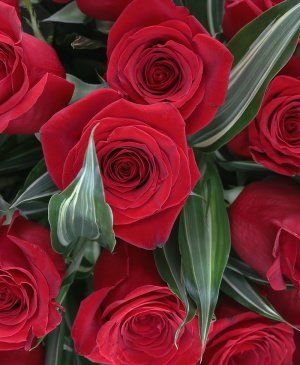 Imaginea produsului Legături De Suflet