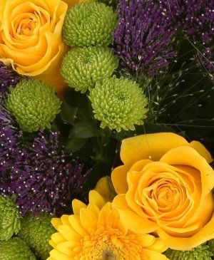 Imaginea produsului Pastel Luxuriant